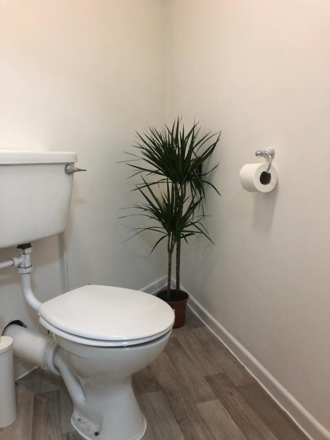 Hostel Gildart Street X One